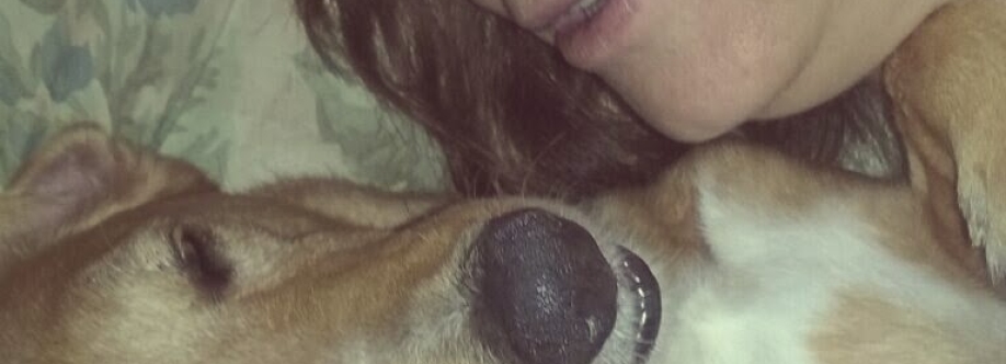 Meu Pet, um grande amor Cover Image