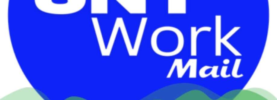 SNT WORK DIGITAL SOLUCTIONS Cover Image